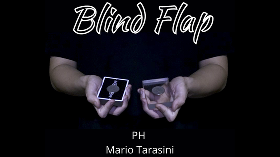 The Vault - Blind Flap Project by PH and Mario Tarasini video DOWNLOAD