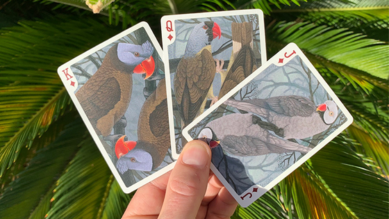 Gilded Bicycle Parrot Extinct Playing Cards