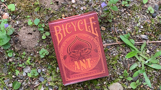 Gilded Bicycle Ant (Red) Playing Cards