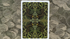 Gilded Bicycle Caterpillar (Dark) Playing Cards