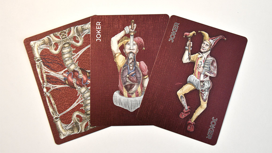 Alterna Playing Cards