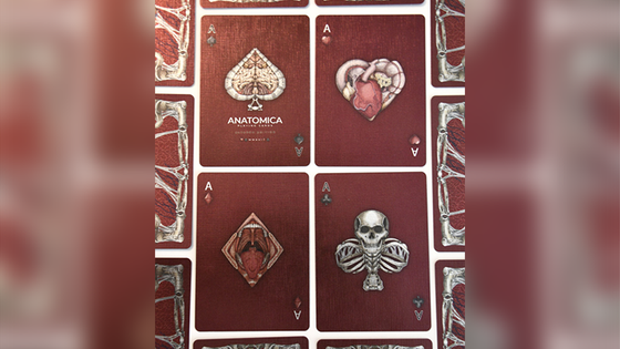 Alterna Playing Cards