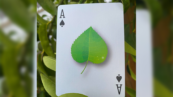 Leaf Playing Cards