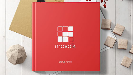 MOSAIK by Diego Voltini - Book