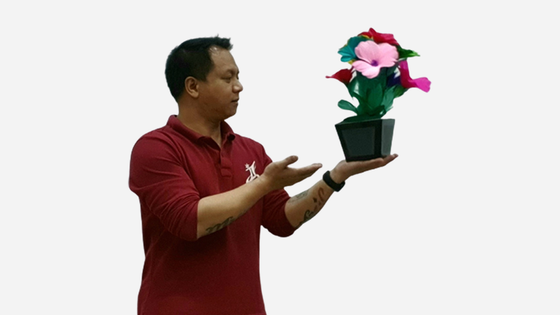 Flower Pot V2 to Blendo (HAPPY BIRTHDAY) by JL Magic - Trick