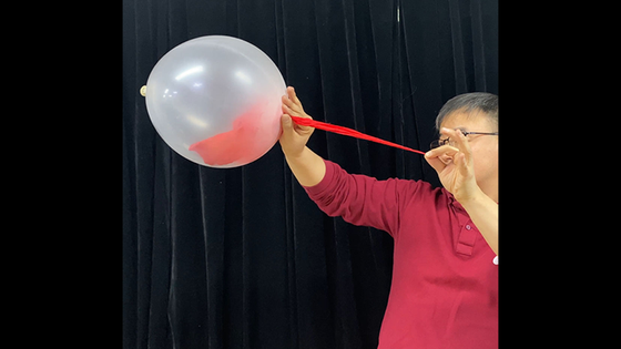 Inside of balloon support + 18 inch balloons for balloon piercing 25 pieces by JL Magic - Trick