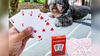 Evernia Playing Cards