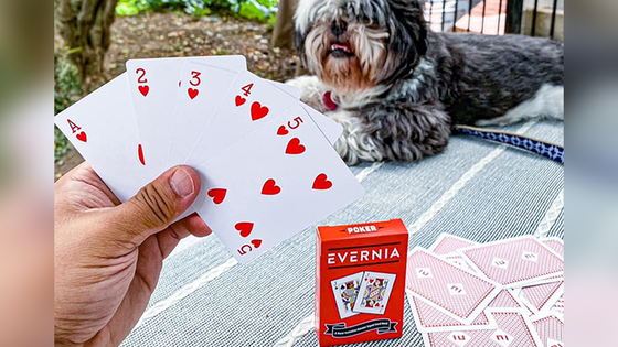 Evernia Playing Cards
