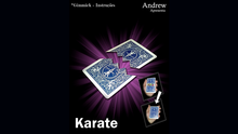  Karate by Andrew video DOWNLOAD