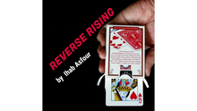  Mario Tarasini presents: Reverse Rising by Ihab Asfour - video DOWNLOAD