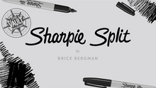  The Vault - Sharpie Split by Brice Bergman