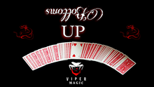  Bottoms UP by Viper Magic video DOWNLOAD