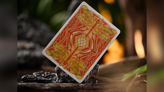 Notorious Gambling Frog (Orange) Playing Cards by Stockholm17