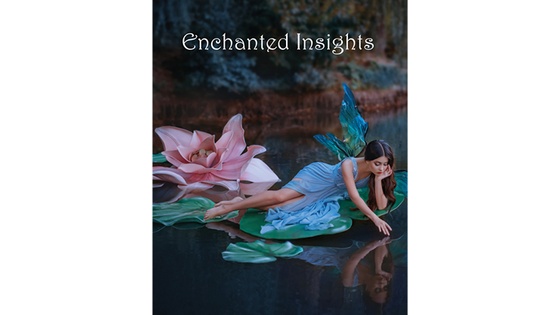 ENCHANTED INSIGHTS RED (Japanese Instruction) by Magic Entertainment Solutions - Trick