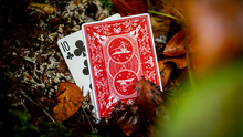  Bonfires Red (includes Card Magic Course) by Adam Wilber and Vulpine