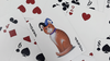 Bicycle Poker Cats Playing Cards