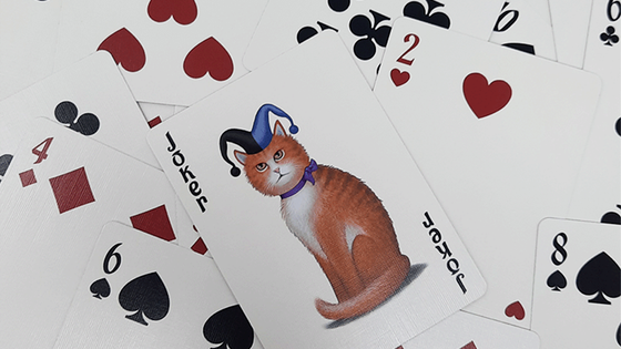 Bicycle Poker Cats Playing Cards