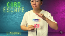  The Vault - Card Escape by Dingding video DOWNLOAD
