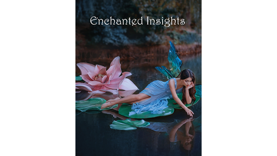 ENCHANTED INSIGHTS BLUE (Spanish Instruction) by Magic Entertainment Solutions
