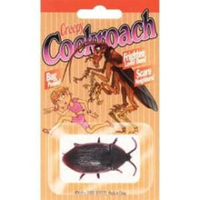  Creepy Cockroach by Loftus