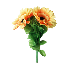  Amazing Split Sunflower by Premium Magic - Trick