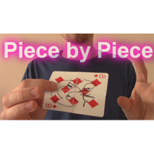  Piece by Piece by Aaron Plener - Video DOWNLOAD