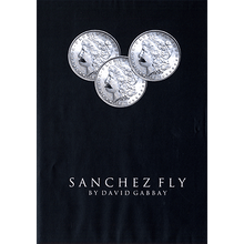  Sanchez Fly by David Gabbay - video - DOWNLOAD