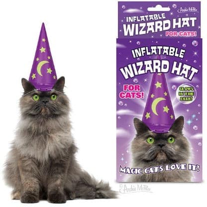 Inflatable Wizard Hat for Cats by Archie McPhee