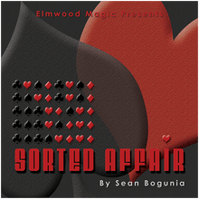 Sorted Affair (2013) by Sean Bogunia
